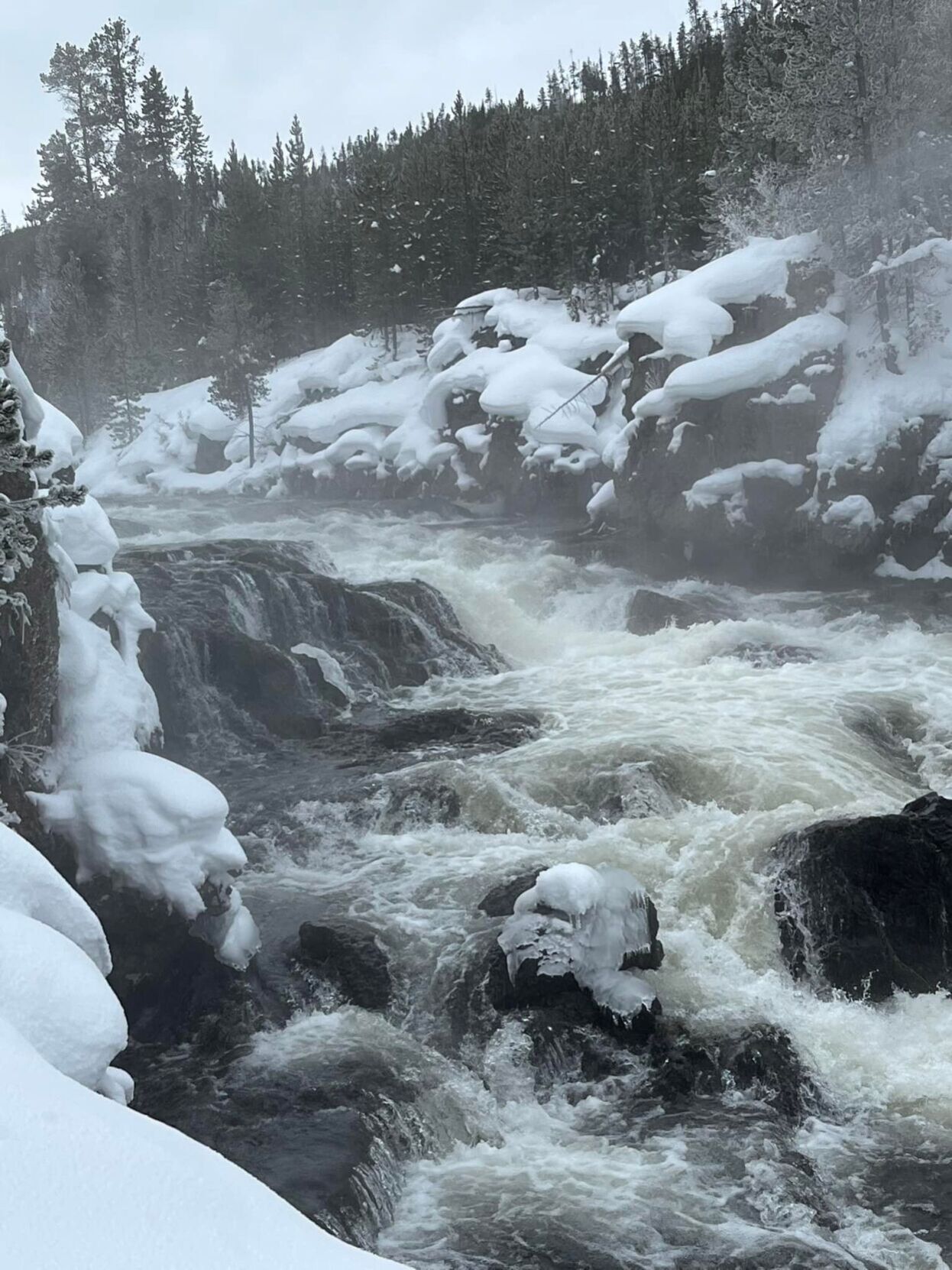 Winter in Yellowstone National Park